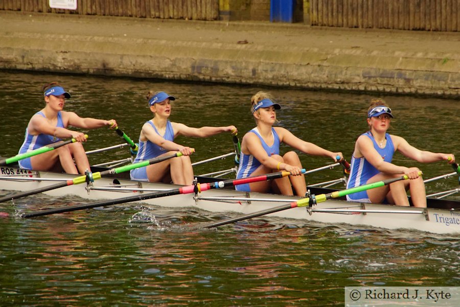 Crew 96 : Ross Rowing Club, Evesham Regatta 2019