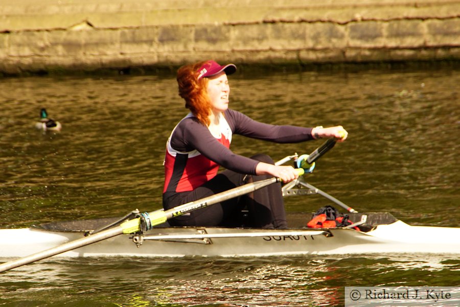 Crew 146 : Stratford-Upon-Avon Boat Club, Evesham Regatta 2019