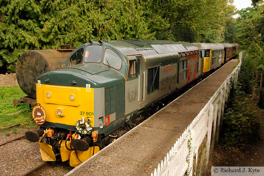 Europhoenix class 37 diesel no. 37901 "Mirrlees Pioneer" leads Class 31 diesel no. 31130 at St Mary's Halt, Dean Forest Railway Diesel Gala, Gloucestershire