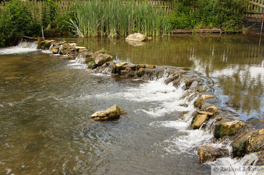 River Windrush, Birdland Park and Gardens, Bourton-on-the-Water, Cotswolds, Gloucestershire