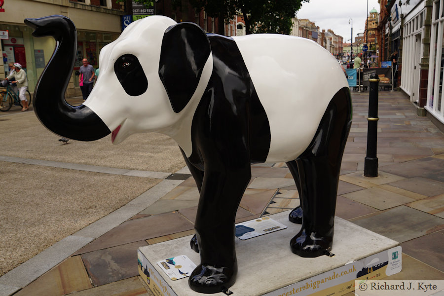 Elephant 6 : "Panda", Worcester Big Parade 2021