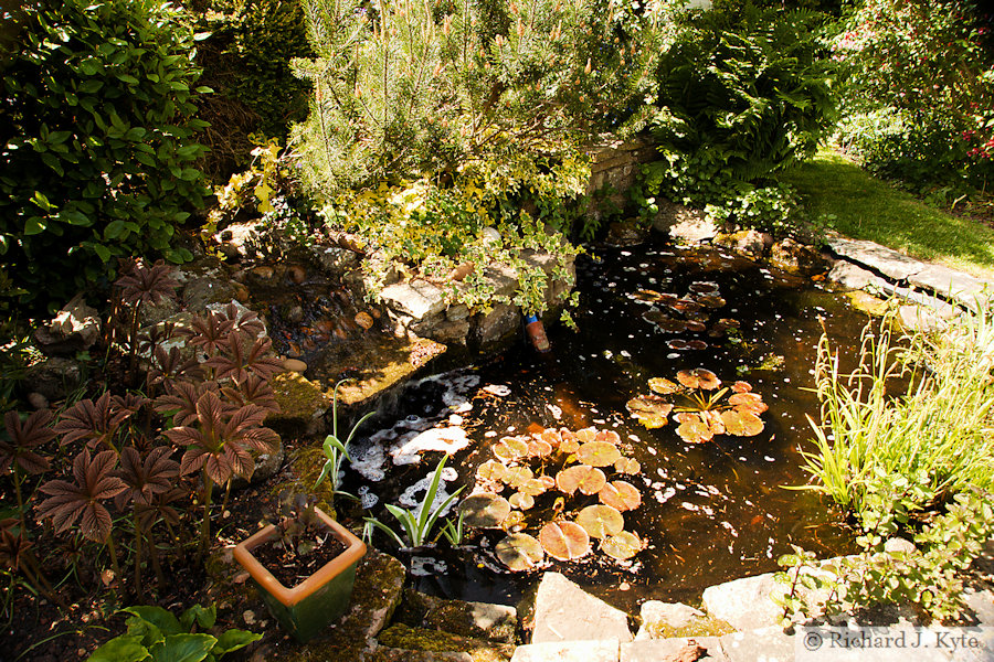 Pond, Garden 11: "Court Gate Cottage", Eckington Open Gardens and Flower Festival 2022