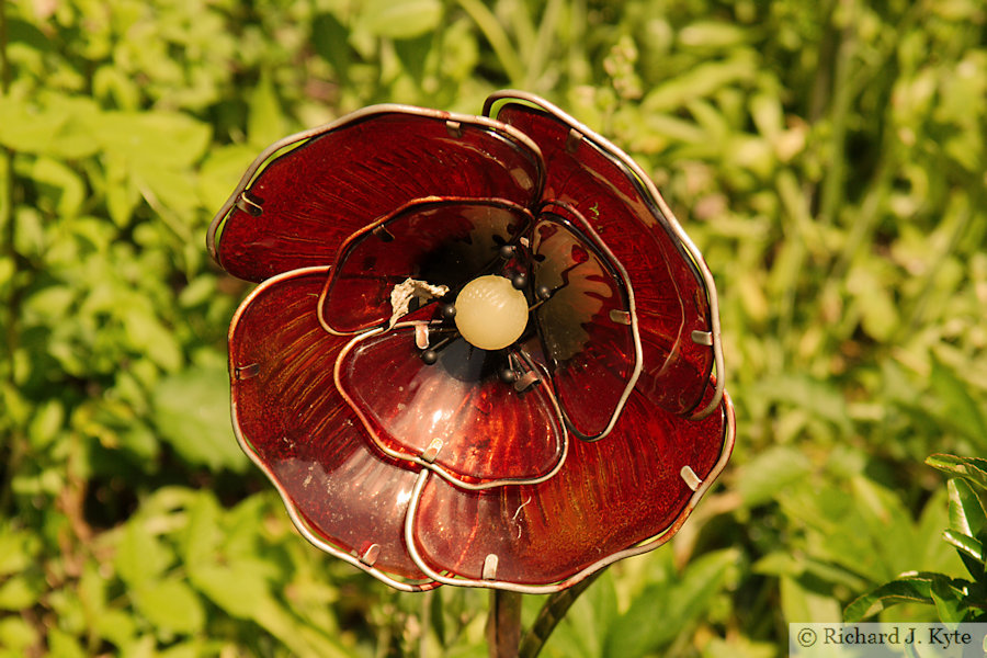 Flower Light, Garden 23: "Windyhill", Eckington Open Gardens and Flower Festival 2022 