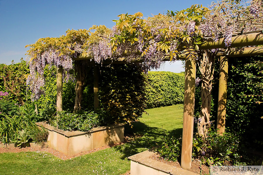 Trellis, Garden 28: "The Lenches", Eckington Open Gardens and Flower Festival 2022 