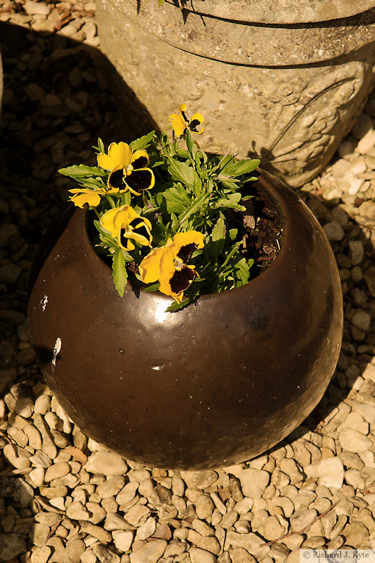 Potted Flowers, Garden 29: "Malham House", Eckington Open Gardens and Flower Festival 2022