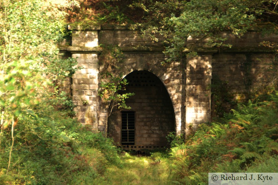Mierystock Tunnel, Forest of Dean, Gloucestershire