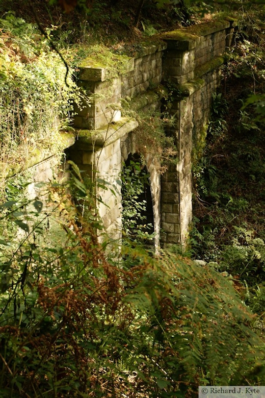 Mierystock Tunnel, Forest of Dean, Gloucestershire