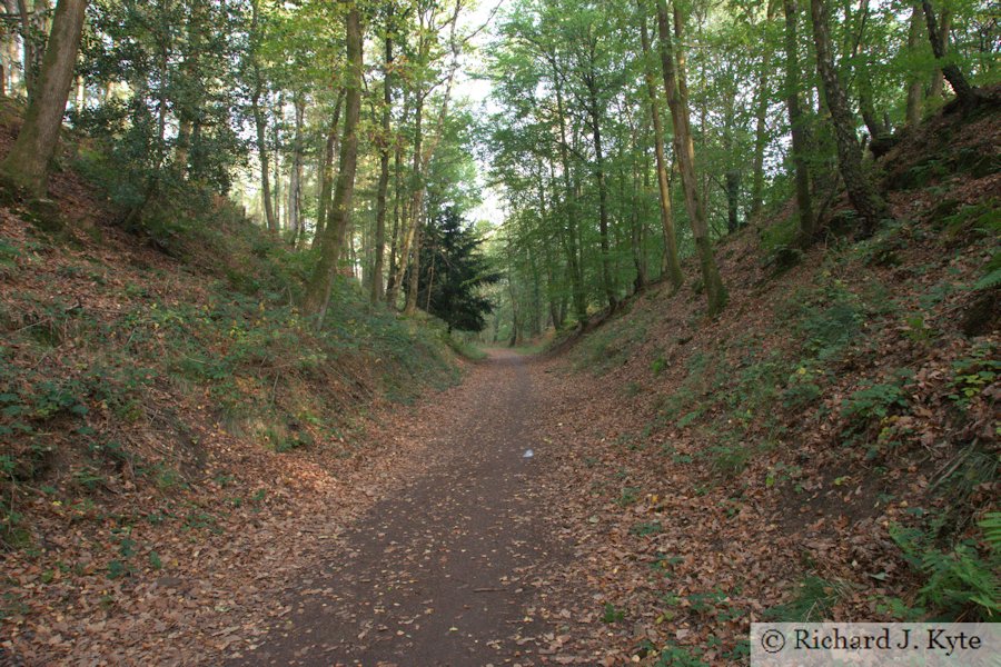 Mineral Loop Trackbed, Forest of Dean, Gloucestershire