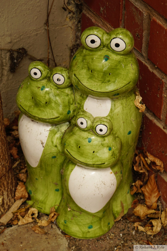 Frog Ornament, Garden 10: "Penn House", Cropthorne Walkabout 2024