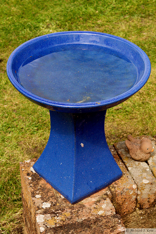 Bird Bath, Garden 10: "Penn House", Cropthorne Walkabout 2024