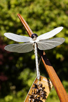 Click to see expanded image