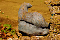 Click to see expanded image