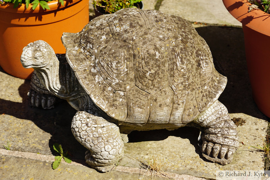 Tortoise Sculpture, Garden 16: "Bank House", Cropthorne Walkabout 2024