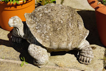 Click to see expanded image