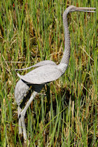 Click to see expanded image