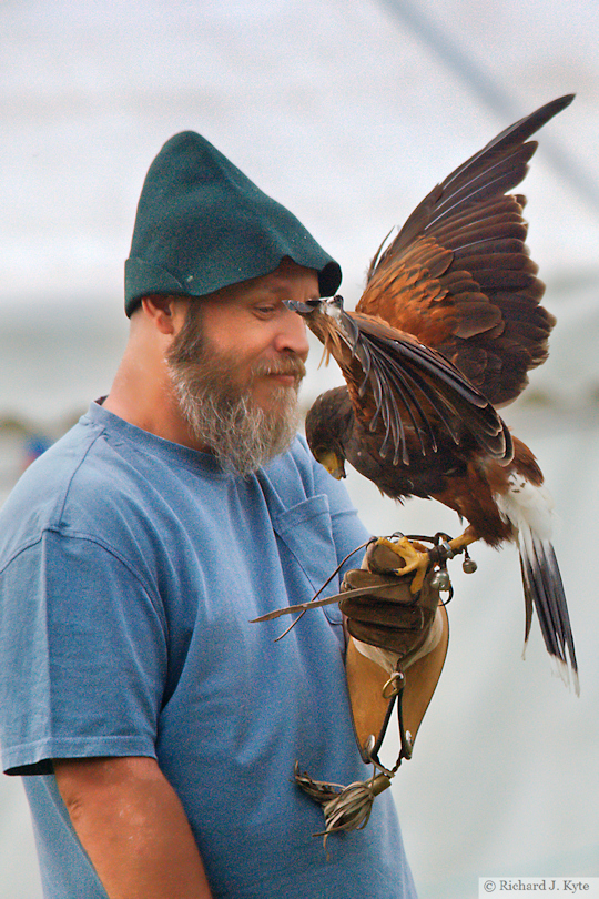 Falconry Demonstration, Battle of Evesham Festival 2025