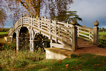 Click to see expanded image