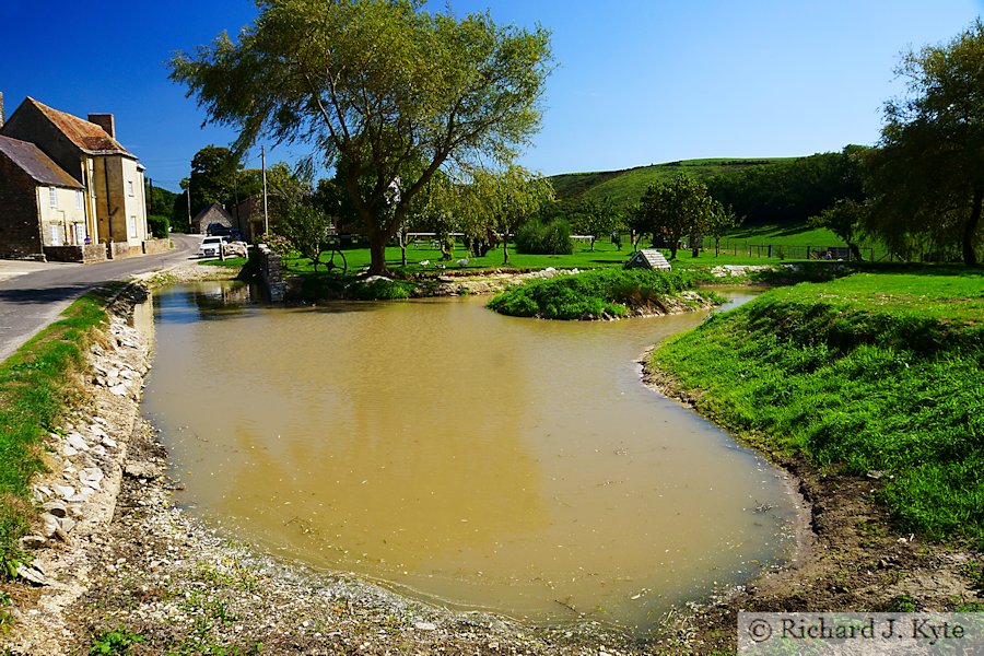 Pond, East Creech, Isle of Purbeck, Dorset