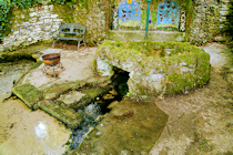 Click to see expanded image