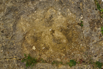 Click to see expanded image