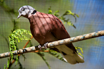 Click to see expanded image