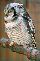 Click to see expanded image