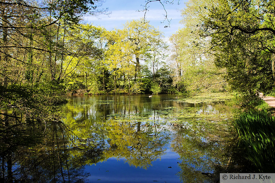The Great Pool, Baddesley Clinton, Warwickshire