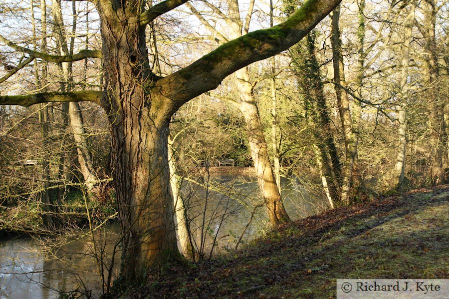 Looking across The Great Pool, Baddesley Clinton, Warwickshire