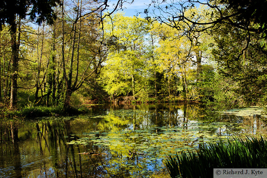 The Great Pool, Baddesley Clinton, Warwickshire