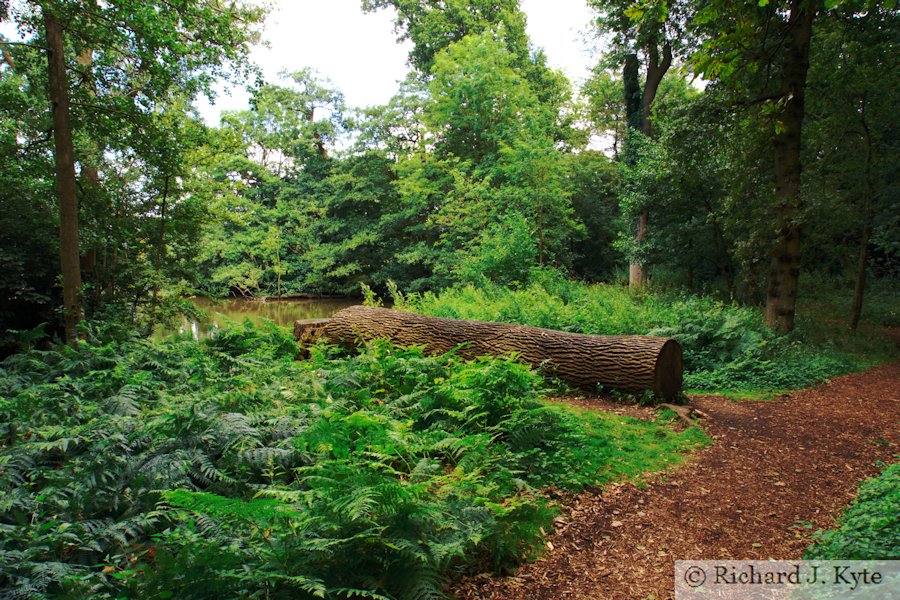 Lakeside Path, Packwood House, Warwickshire
