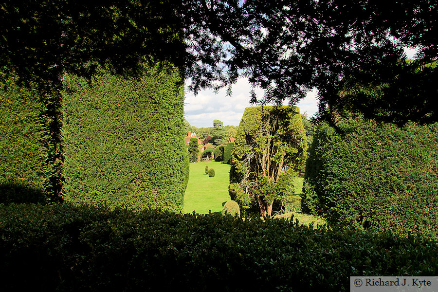 The Yew Garden, on the Mount, Packwood House, Warwickshire 