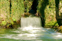 Click to see expanded image