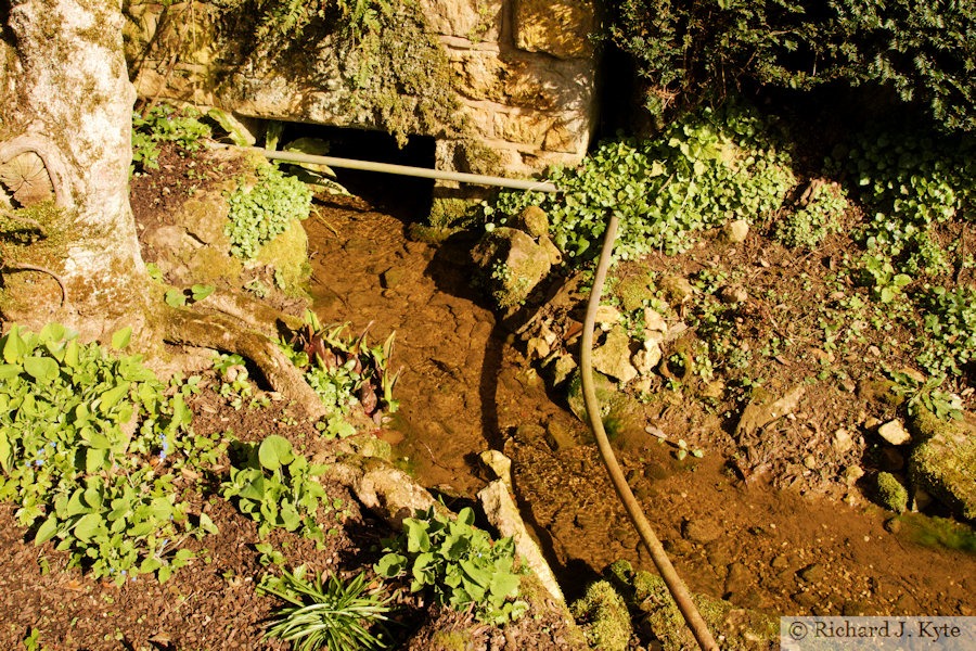 Stream, Bathing Pool Garden, Hidcote Manor Garden, Gloucestershire