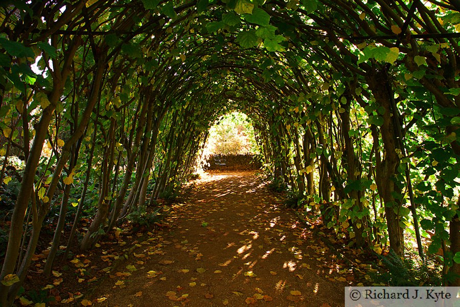 Avenue, Mrs Winthrop's Garden, Hidcote Manor Garden, Gloucestershire
