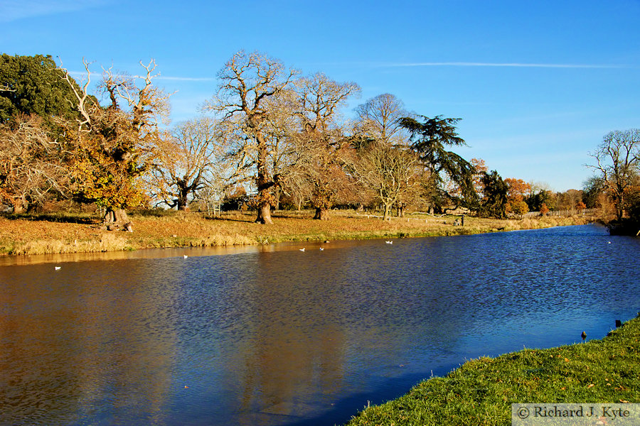 The Lake, Charlecote Park, Warwickshire