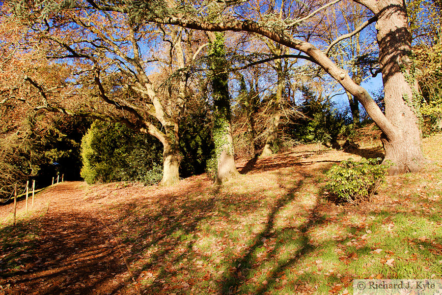The Wild Garden, Upton House, Warwickshire