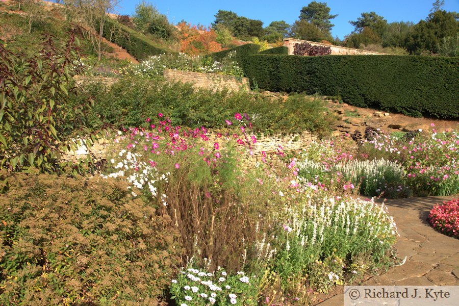 Lady Bearsted's Garden, Upton House, Warwickshire