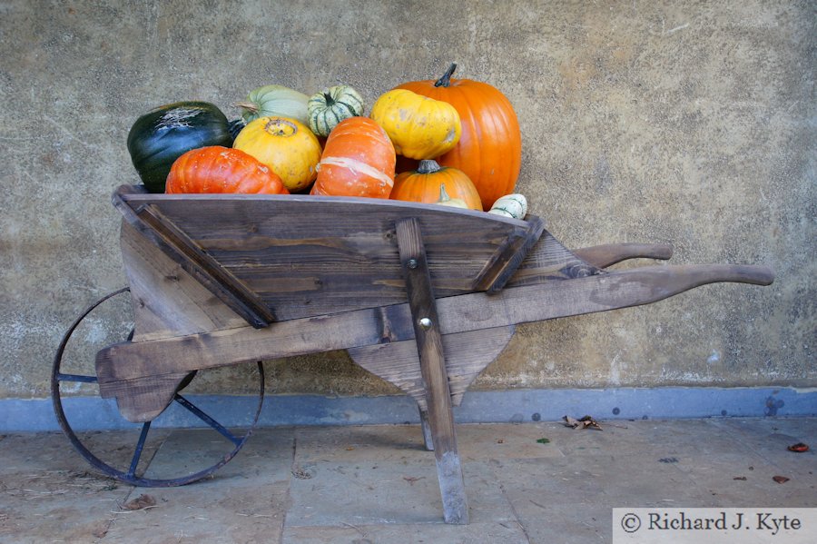 Barrow of Pumpkins, Upton House, Warwickshire