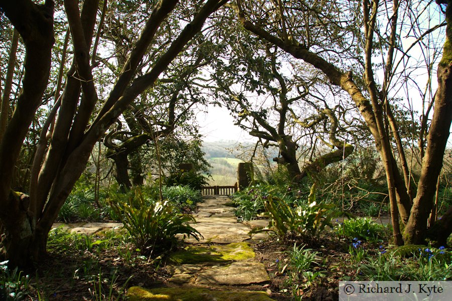 The Elder Grove, Snowshill Manor, Gloucestershire