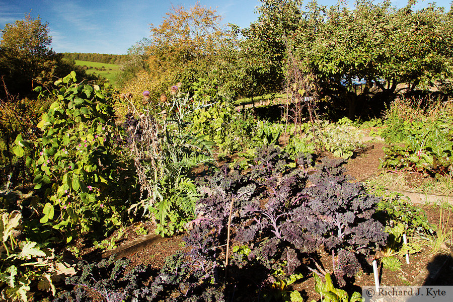 Kitchen Garden, Snowshill Manor, Gloucestershire