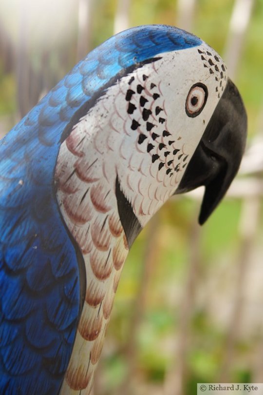 Parrot in a Cage, Snowshill Manor, Gloucestershire