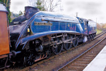 Click to see expanded image