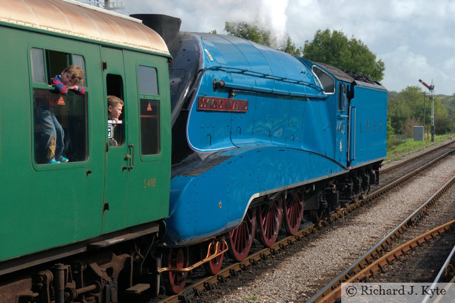 LNER A4 Class no. 4464 "Bittern" as 4492 "Dominion of New Zealand" at Corfe Castle, Swanage Railway