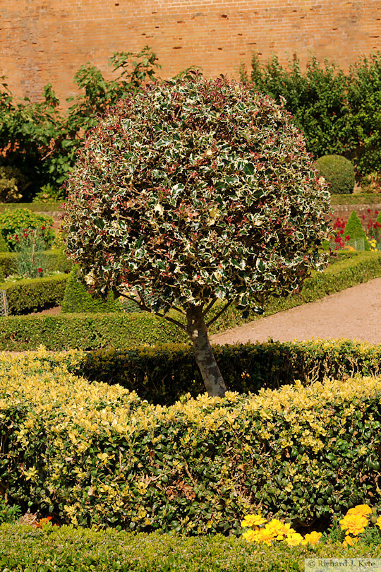 Parterre Centrepiece (2023), Hanbury Hall, Worcestershire