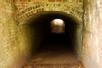 Click to see expanded image