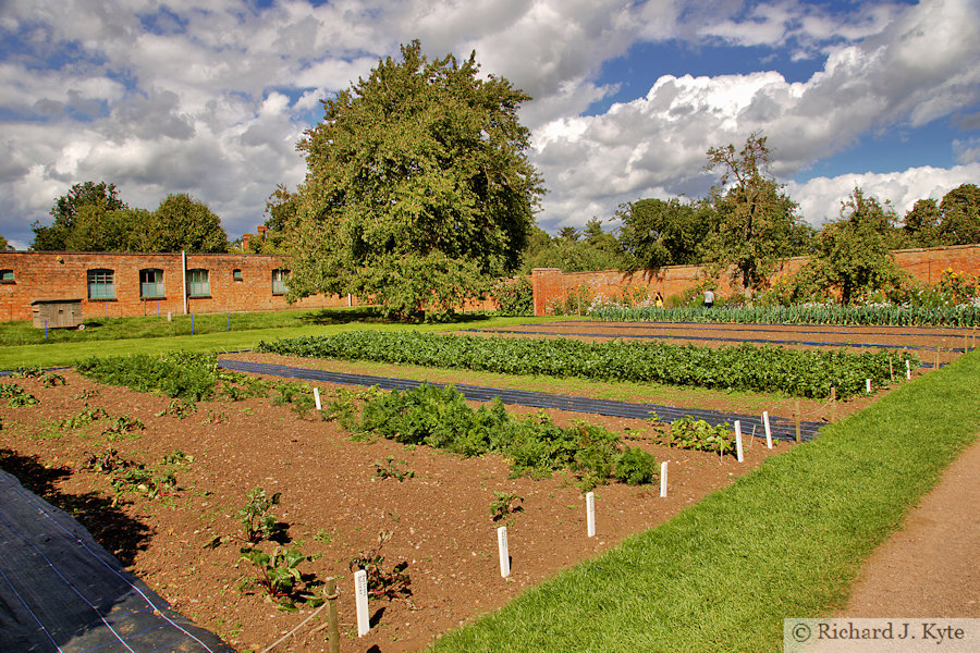Inside the Walled Garden, Hanbury Hall, Worcestershire