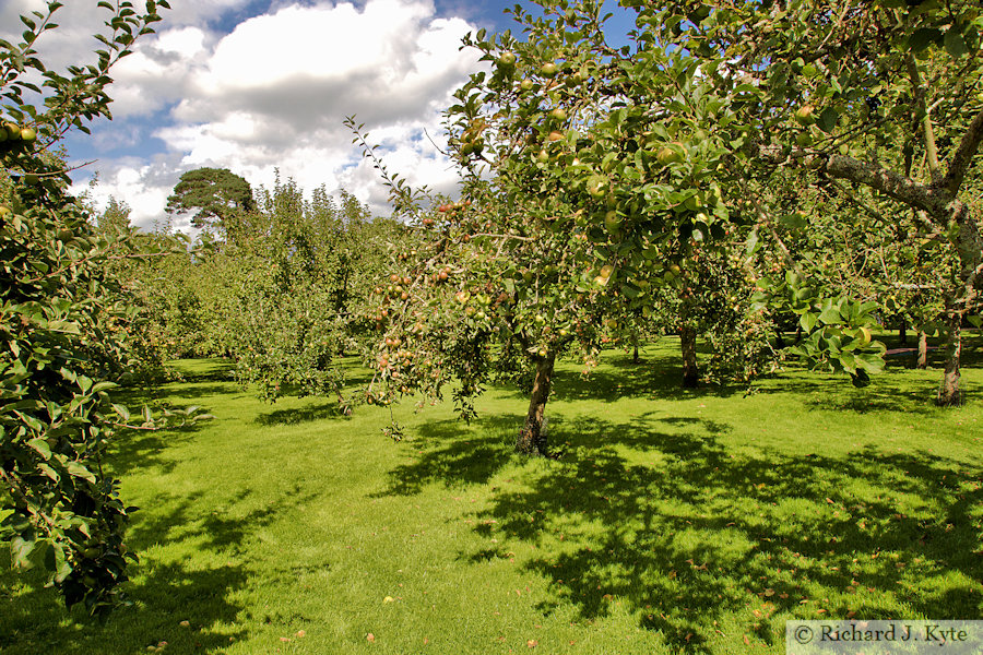 The Orchard, Hanbury Hall, Worcestershire