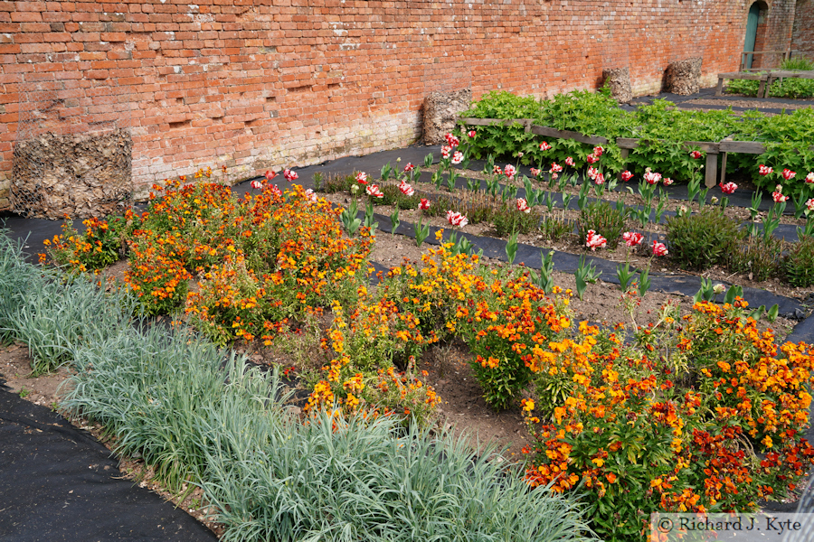 Flowerbeds, Kyte's Orchard, Hanbury Hall, Worcestershire
