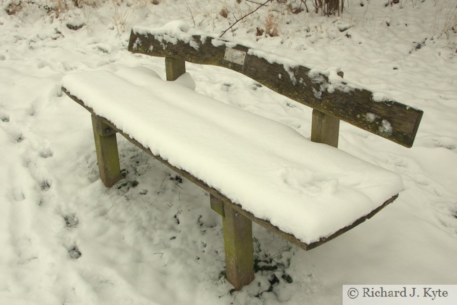 Bench, Eove's Wood, Hampton, Evesham, Worcestershire
