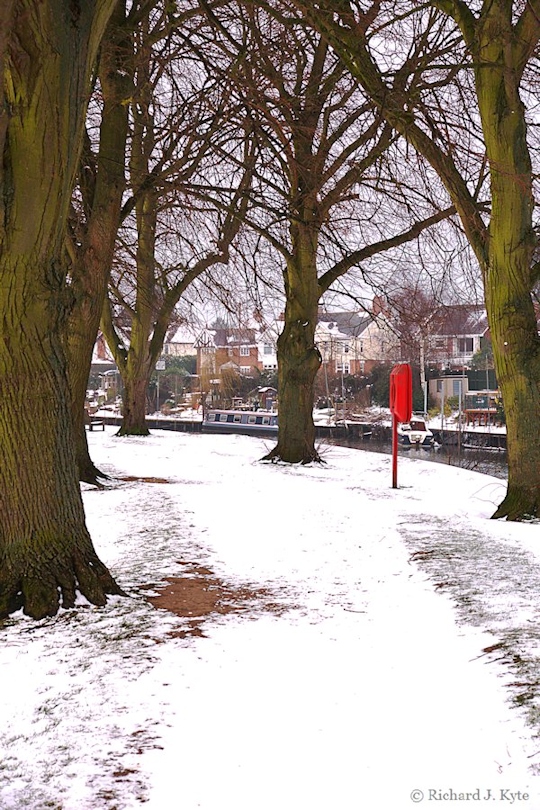 Tree Avenue, Corporation Meadow, Evesham, Worcestershire
